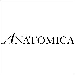 ANATOMICA/アナトミカ買取